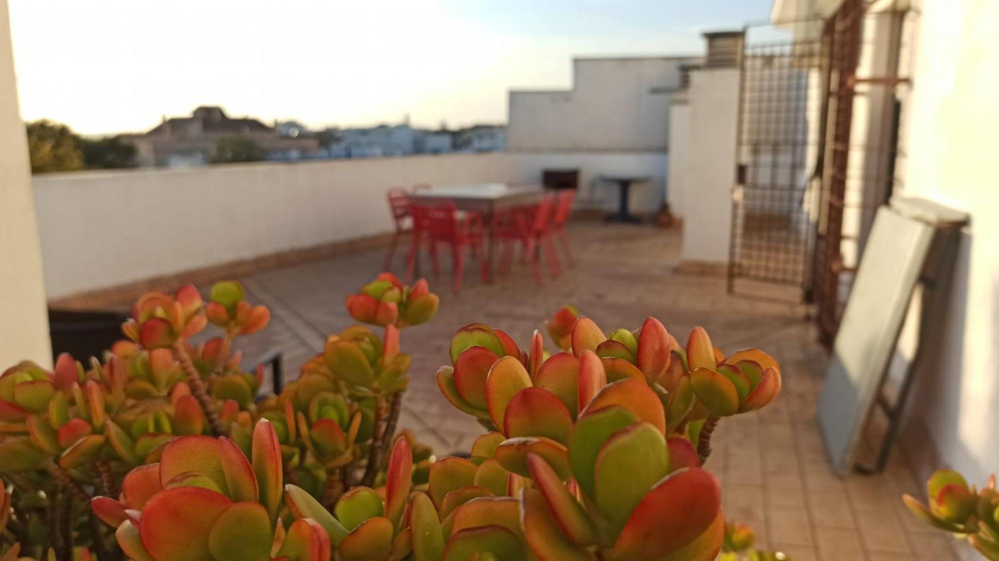 Atardeceres Surenos - Gran Terraza - Parking Jerez de la Frontera Buitenkant foto